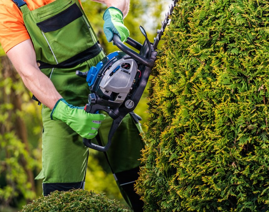 gardener-topiary-job.jpg